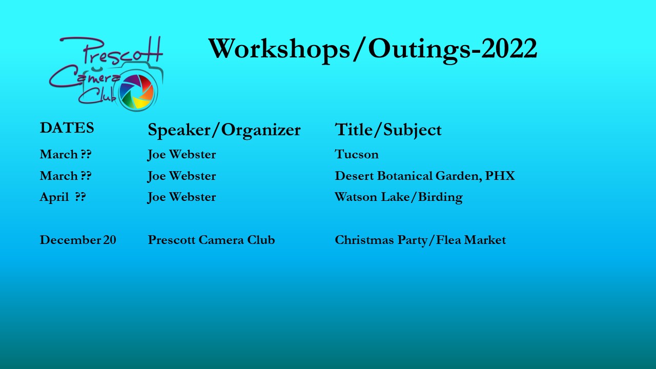 Workshops & Outings 2022